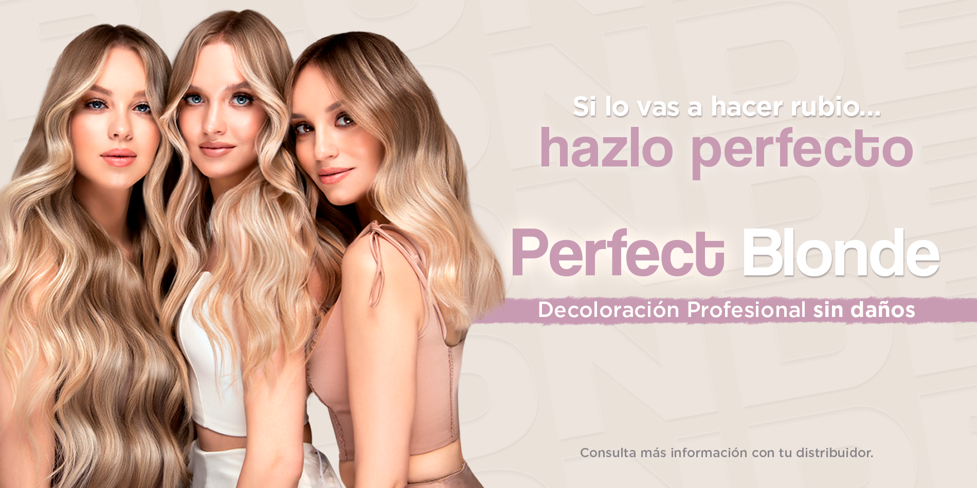 banner_web_perfectblonde